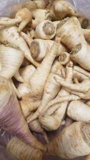Parsley Root 